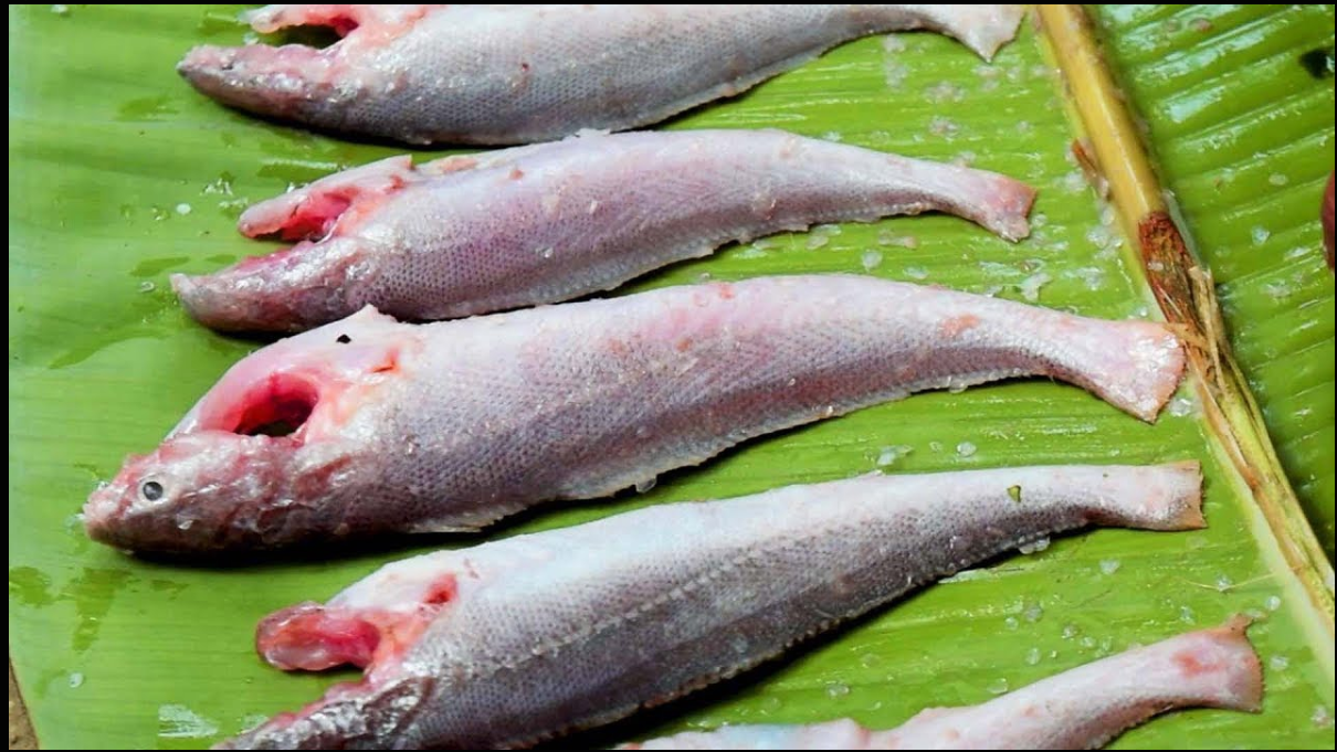 Poa Fish- Around 1lb