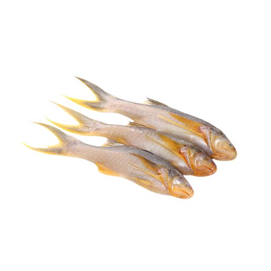 Taposhi Fish (Vacuum Pack)  -PUTUL Brand-500 gm
