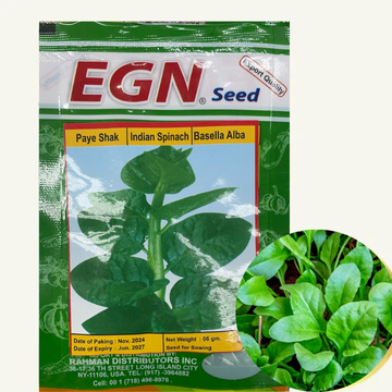 Indian Spinach Seed (পুঁইশাক বীজ)-NYC
