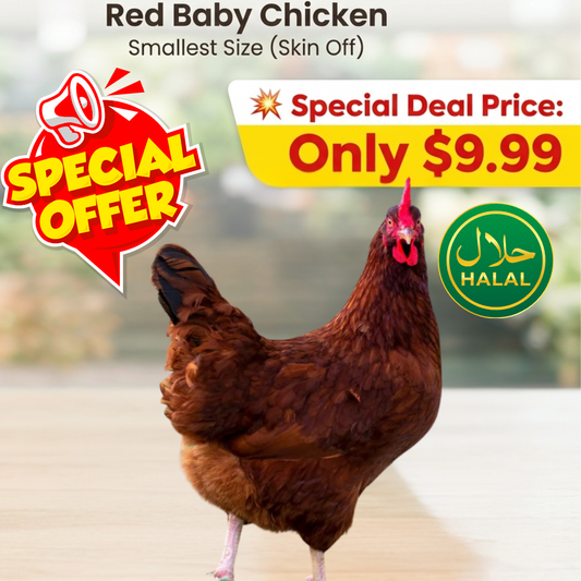 Red Chicken (Smallest Size) – Limited Time Offer🔥