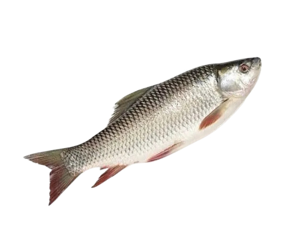 Rohu (Rui) Fish - 3 kg