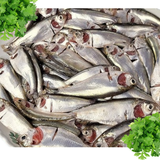 Chapila Big Size - 500 gm -NYC