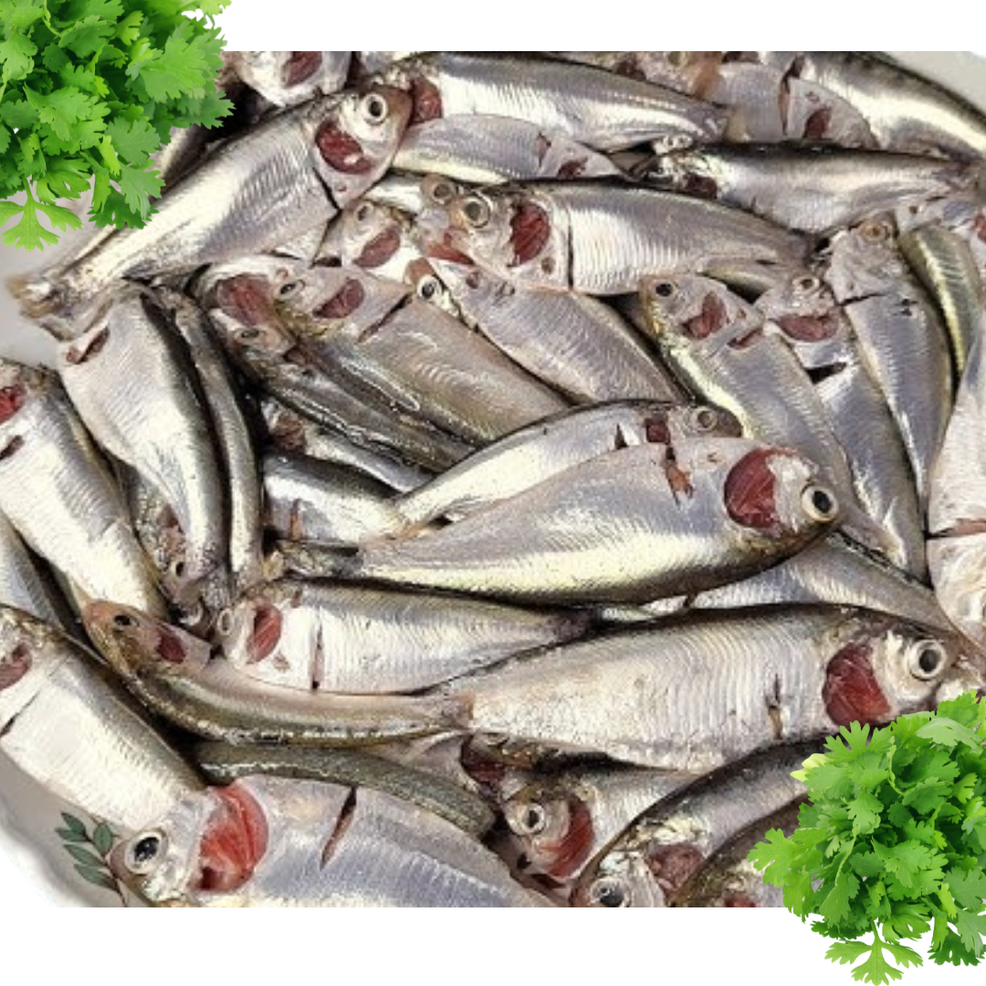 Chapila Fish Rtc Chapila (Block)-PUTUL Brand- 250 gm -NYC – ChefsRHere