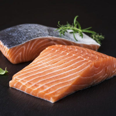 Troll King Salmon