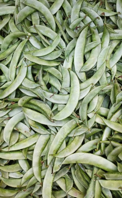 Fresh Sheem (Flat Beans)-NYC
