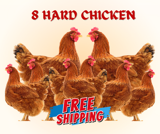 8 PIECE HARD CHICKEN