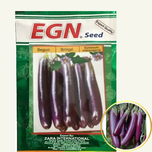 Begun / Brinjal Seed (লম্বা বেগুন বীজ)