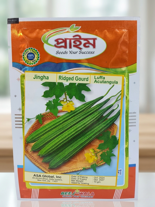 PRIME Ridged Gourd (Jingha) Seeds (ঝিঙে বীজ)