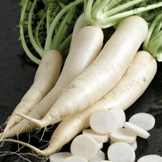 Fresh White Radish (Mula)-1 lb-NYC