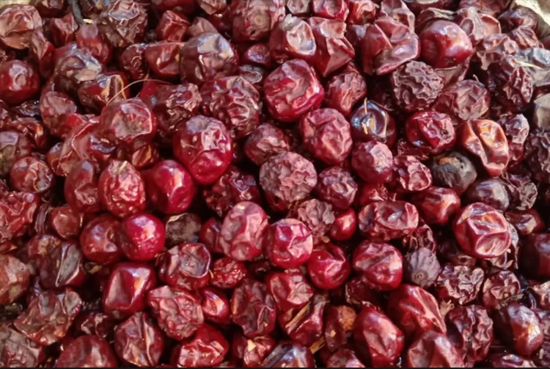 Close-up of dried plum. 