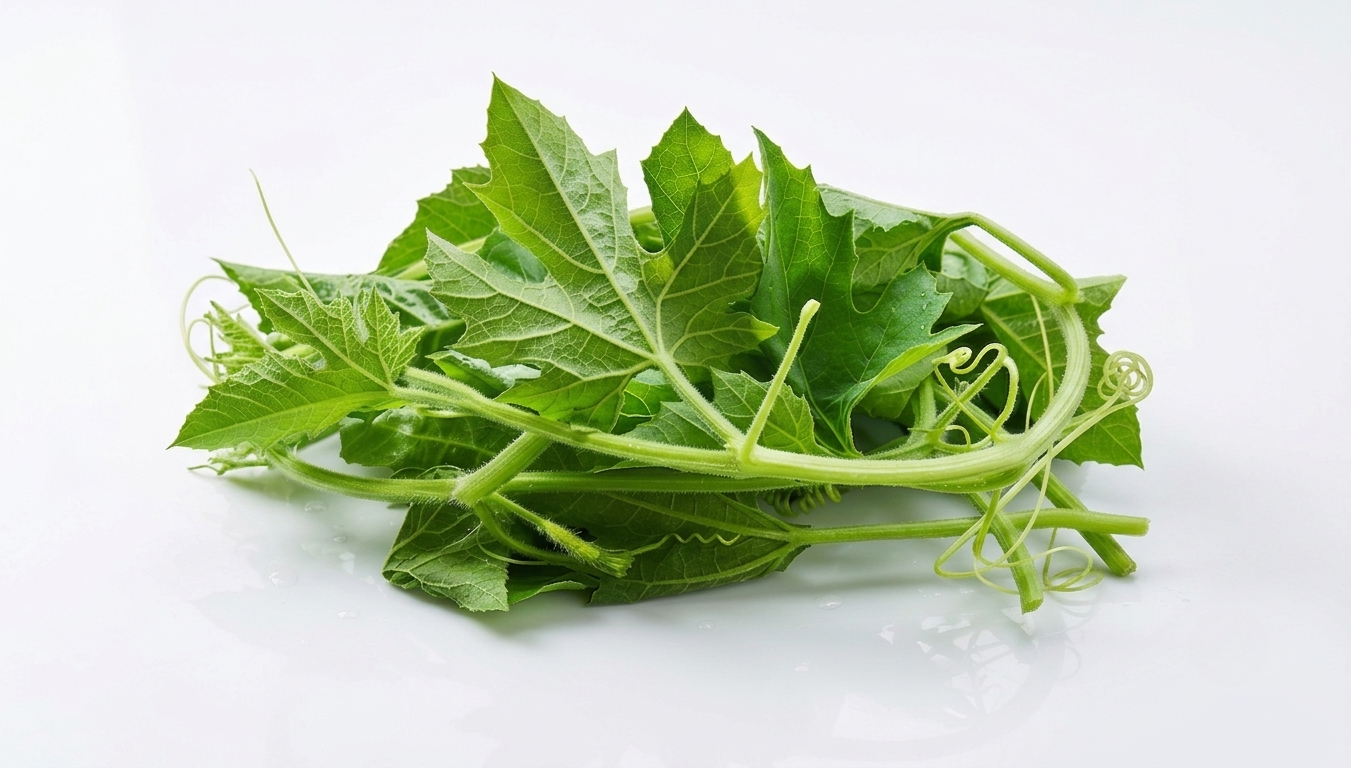 A pile of fresh green lau shak (bottle gourd leaves) leafy vines with curly tendrils, photographed on a clean white background.