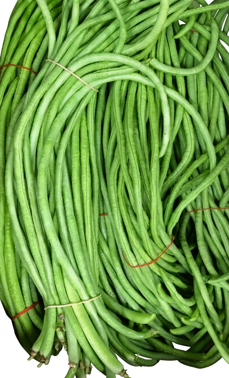 A large bundle of fresh white long beans tied with thin bands, photographed close up against a white background.