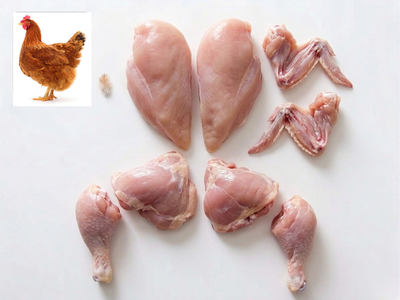 2 hard chicken 4lb-bundle