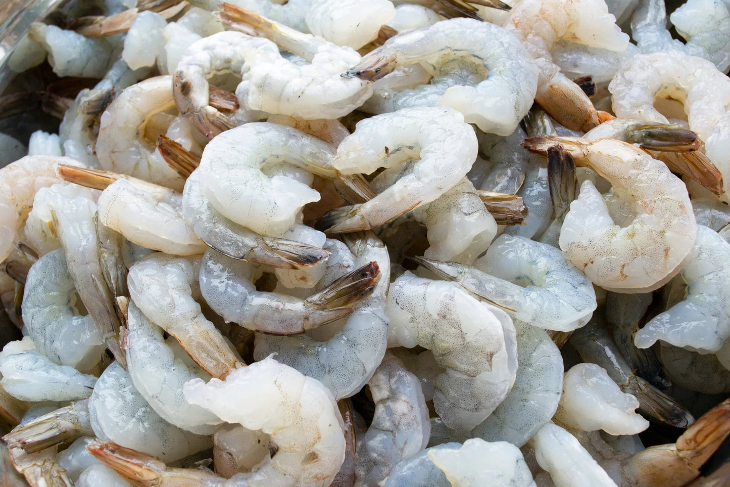 Shrimp (small & headless) - 250 gm