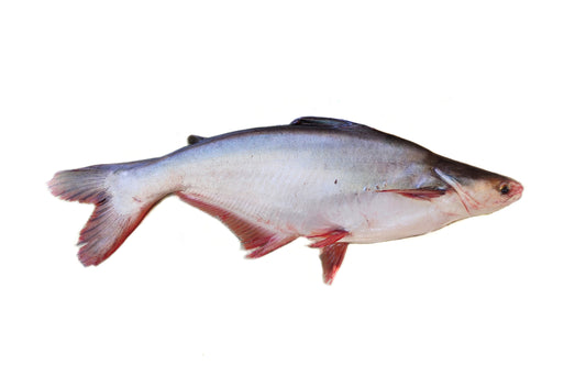 Whole pangash (Pangasius) Fish 4.9-5.2 lb (cut and clean)