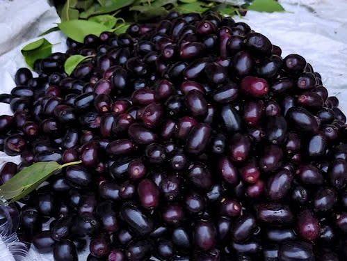 Fresh Jamun (Java Plum)-Kalo Jam-300gm up