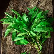 Pat Shaak (Jute Leaf)-300gm