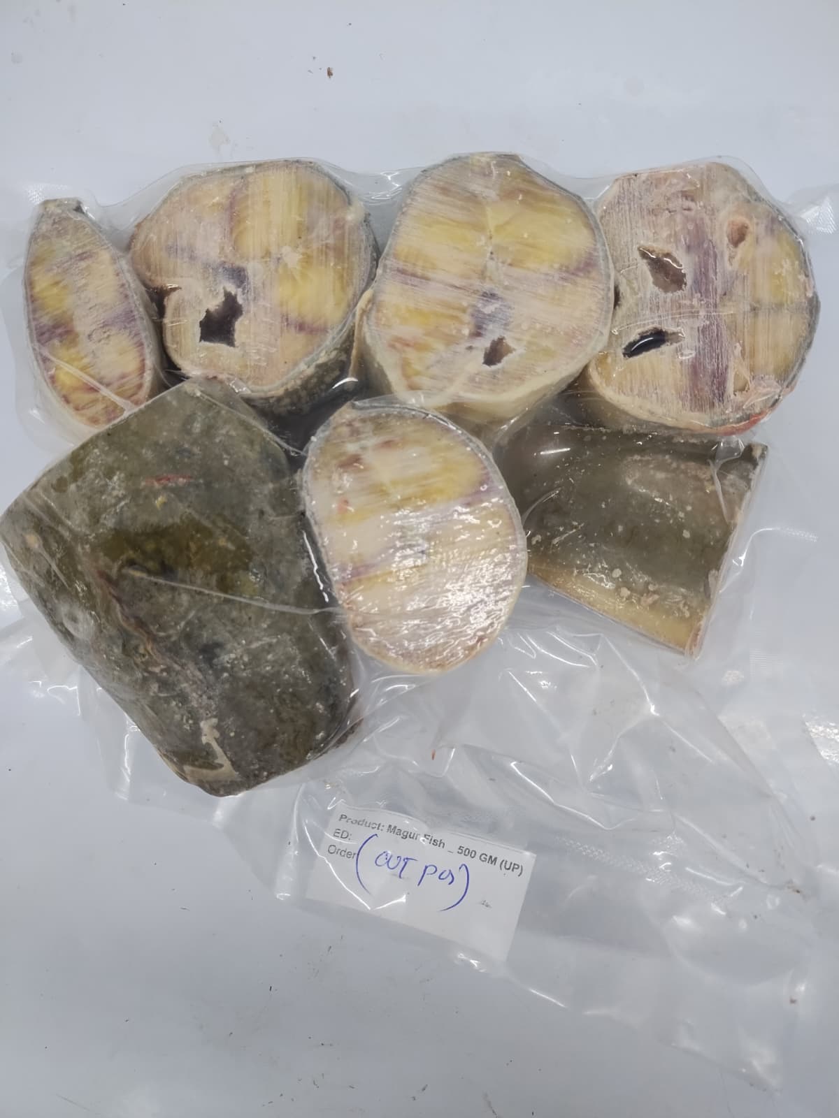 Magur Fish -500 gm up(1 Pc)