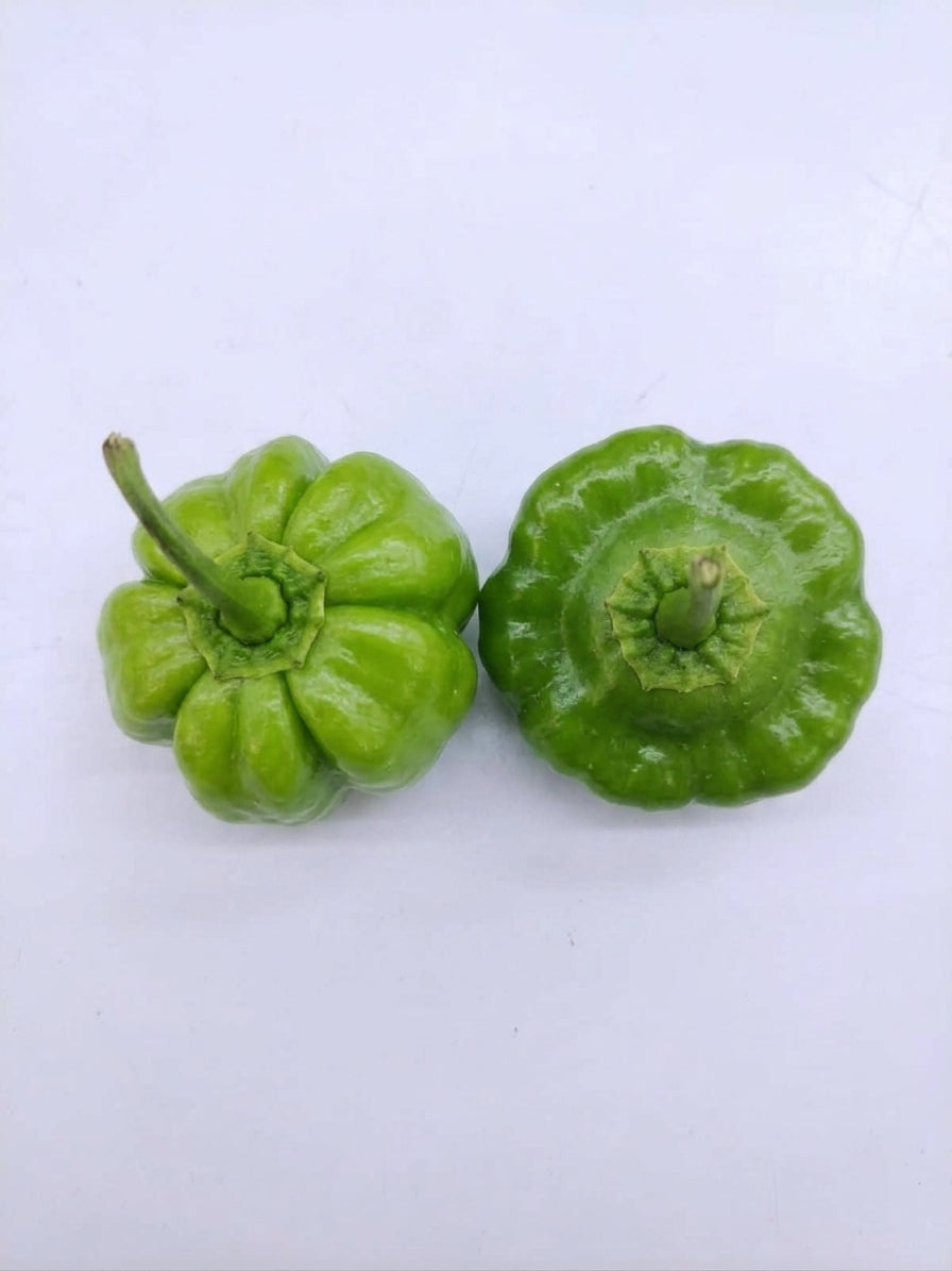 Two green bell peppers shown from the top on a plain white background.