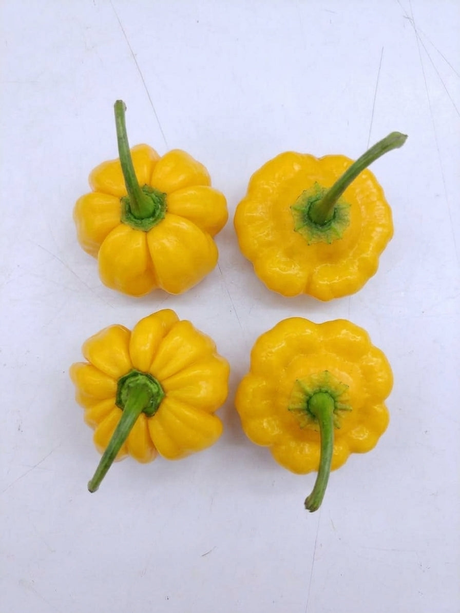 Four bright yellow bell peppers with green stems, arranged in a 2x2 grid on a plain white surface.