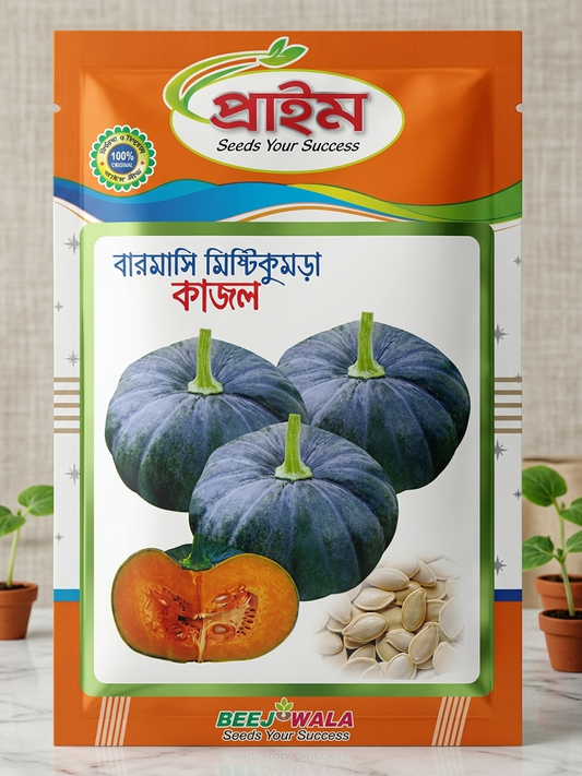 Prime Year-Round Sweet Pumpkin Seeds(বারোমাসি মিষ্টিকুমড়া বীজ(কাজল))