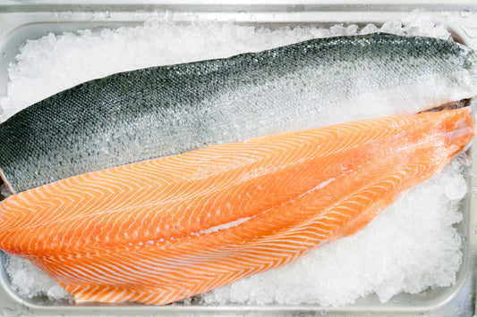 Troll King Salmon