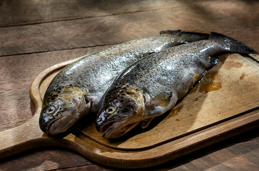 Trout