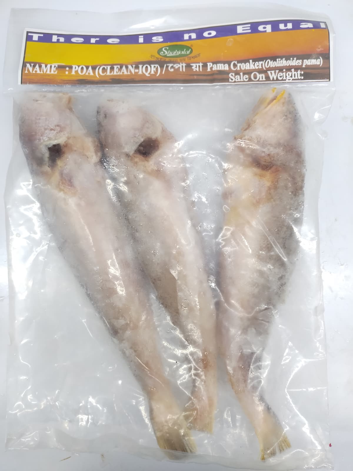 Shahjalal Poa Fish-(loose)-1.75 lb up -NYC