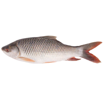 Rohu(rui) Fish 2kg-pack