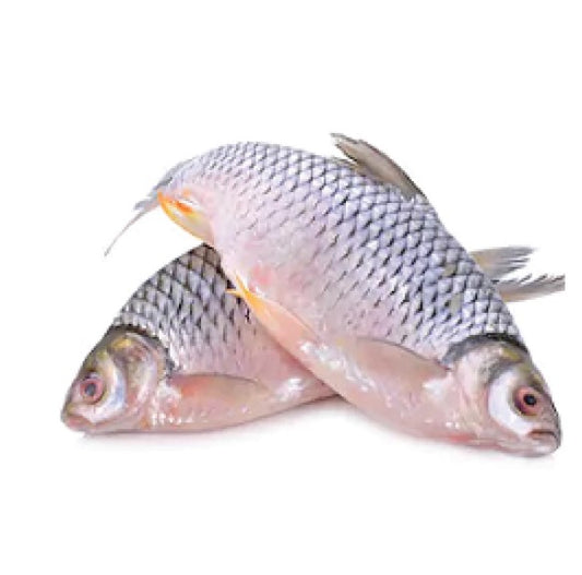 Shor Puti Fish -2kg Up