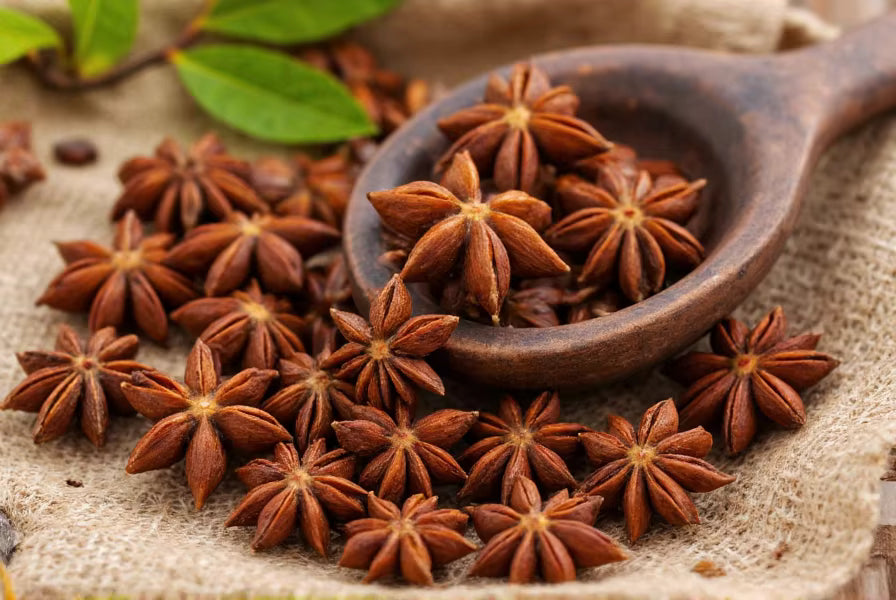 Star anise spices with a wooden spoon on a textured surface